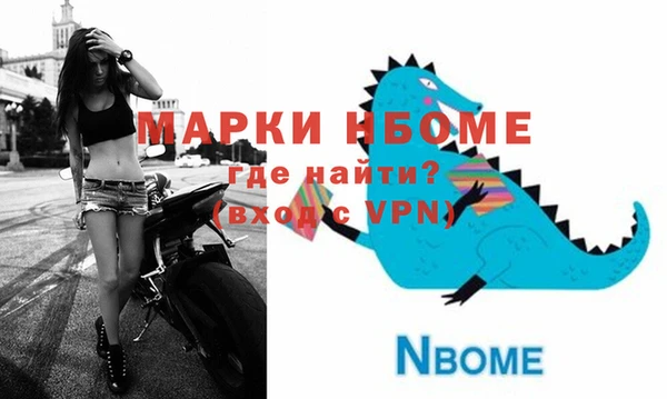 шишки Надым