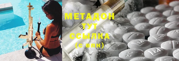 шишки Надым