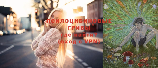 шишки Надым