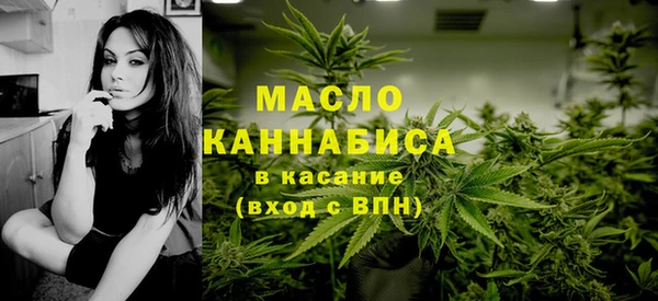 шишки Надым