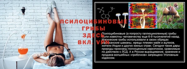 прущая мука Абаза