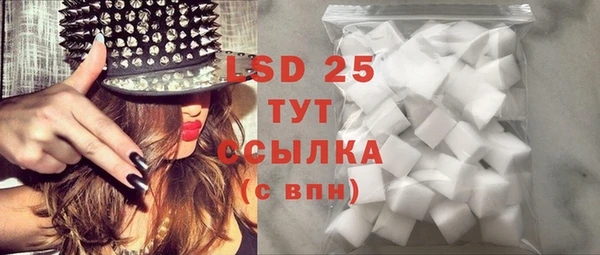 шишки Надым