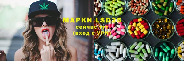 шишки Надым